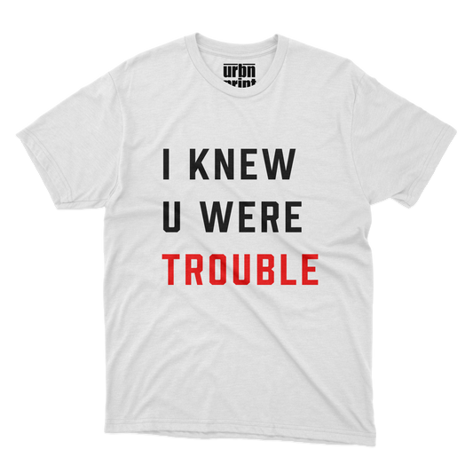 Polera Taylor Swift - I knew u were trouble